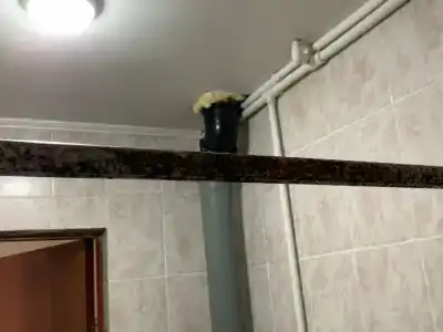 Кафе и гостиница Давид в Белогорках - 12