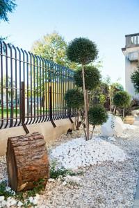 Al Prato - 7