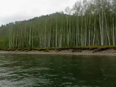 Теремок - 40