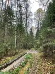 Сендега - 28