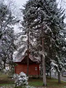 Центральный Детский санаторий - 83