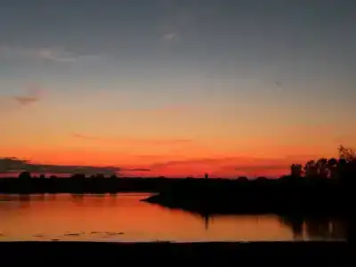 Свидом - 35