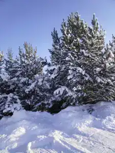 Белый Берег - 41