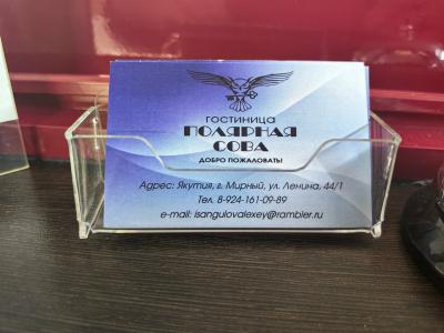 Полярная сова - 9