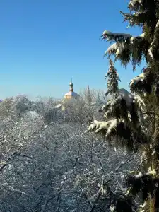 Усадьба на Спасской - 19