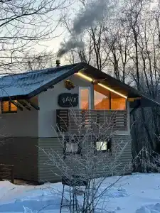 Елизарово - 87