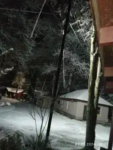 Комарово клуб - 66