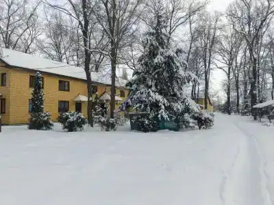 Ласточка - 38