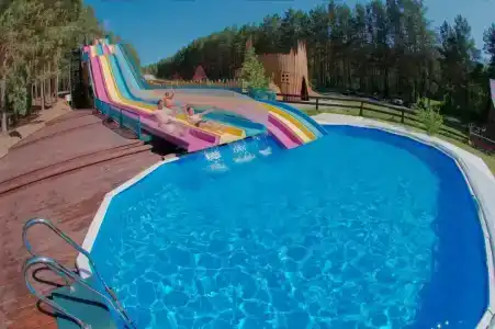 Сова - 6