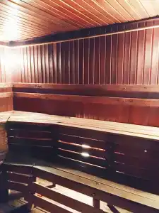 Любисток - 11