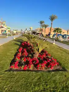 Albatros Aqua Vista Resort - 63