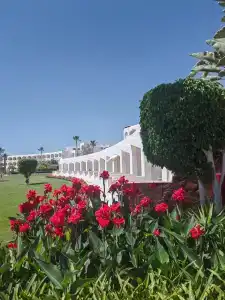 Baron Resort Sharm El Sheikh - 4