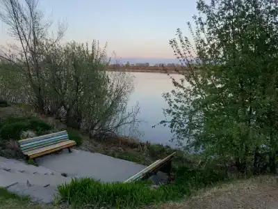 Светлый - 36
