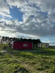 Смородина - 32