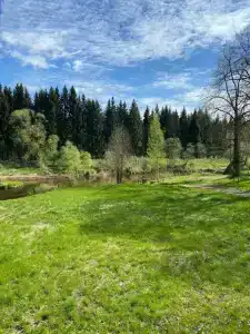 Кроличья нора - 12