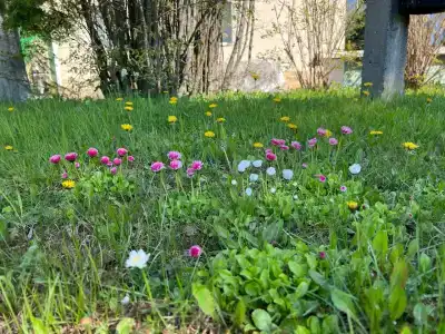 Березовка - 89