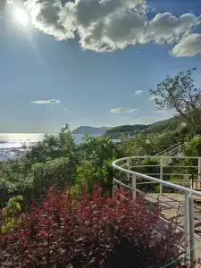 Черномор - 74