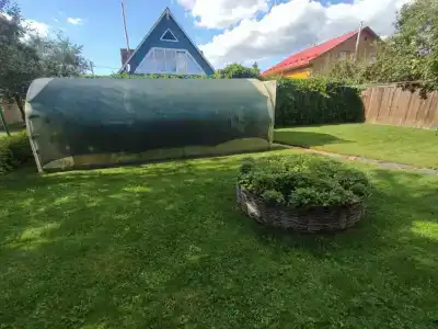 Петров Дом - 1