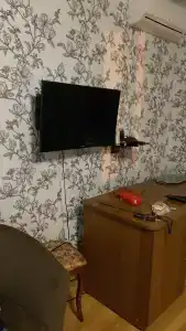 Медведев лес - 46