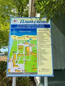 Чайка - 65