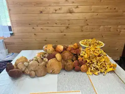 Гостевой комплекс в д. Нурмолицы - 85