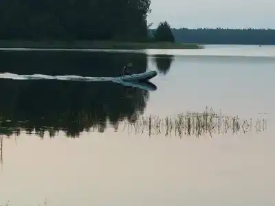 Медовец - 12