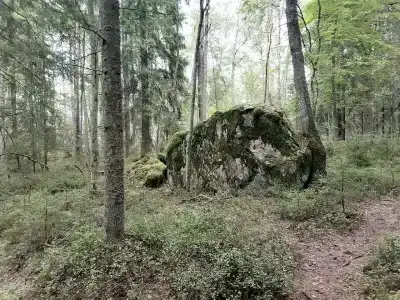 Рябинушка - 28