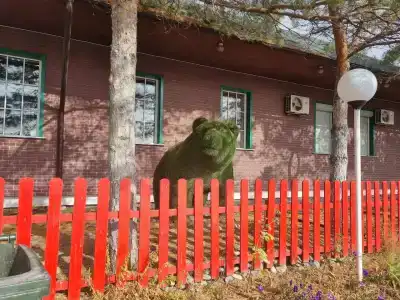 Конь и пес - 5