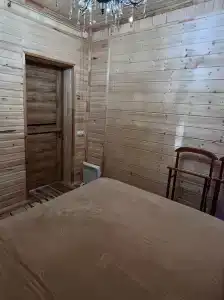 Багира - 31