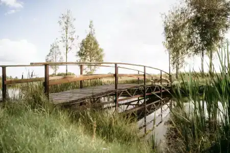 Банный Остров - 66