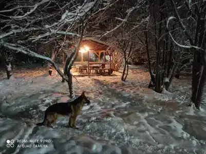 Хуторок Борок - 4