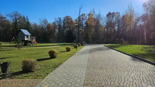 Березинская Дубрава - 89