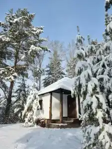 Дикий запад - 43