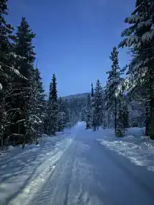 Лапландская деревня - 77