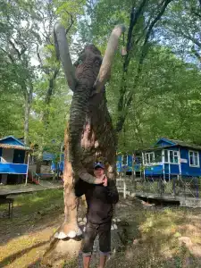 Золотое руно - 32
