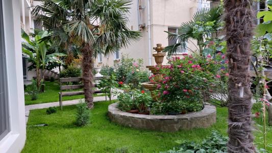 Green Garden - 1