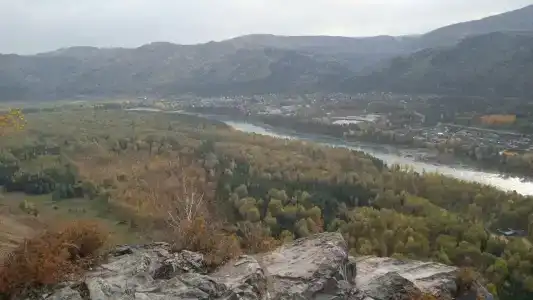Как дома - 11