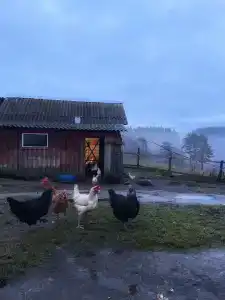 Вечера на Хуторе - 10