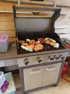 Лесной дворик - 5