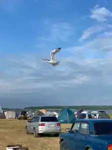 Сила озер - 18