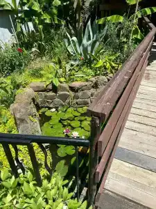 Дом Солнца - 84