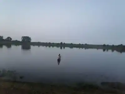 Рябинушка - 33