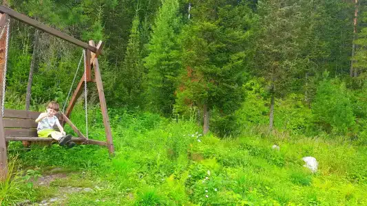 Теле - 7