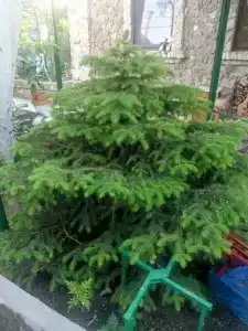 У Галины - 30