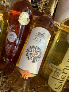 Datça Vineyard - 13