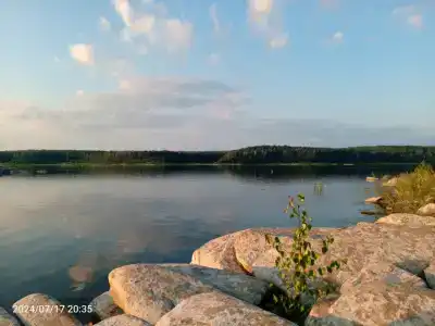 Сосенка - 1