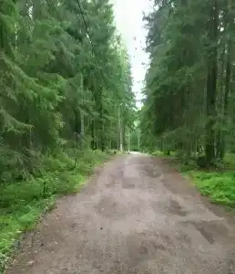Ravansaari - 15