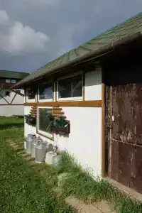 Елизарово - 46