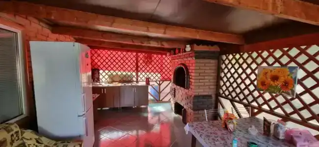 Тюльпан - 19