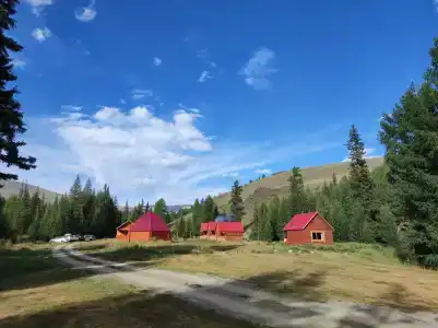 Ясная поляна - 30